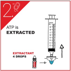Rapid detection of bacteria in drinking water - GL Biocontrol