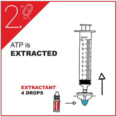 ATP test - 4 step protocol (2)