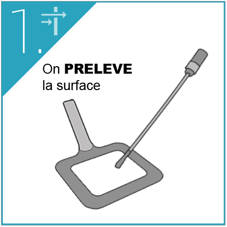ATP-métrie DENDRIDIAG surface protocole (1)
