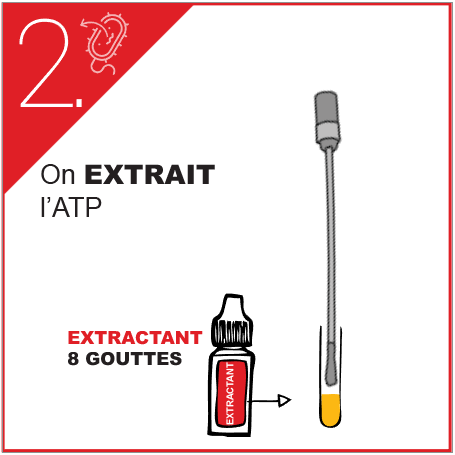 ATP-métrie DENDRIDIAG surface protocole (2)