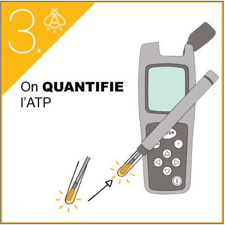 ATP-métrie DENDRIDIAG surface protocole (3)